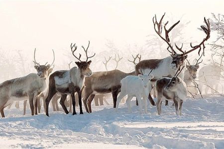 АГЕНТСТВАМ