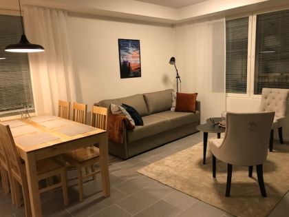 Ski Suite Levi 311 (54 m²)