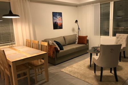 Ski Suite Levi 311 (54 m²)