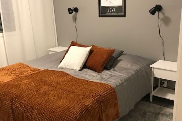 Ski Suite Levi 311 (54 m²)