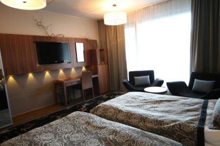 Номер сьют с сауной (44 м²)