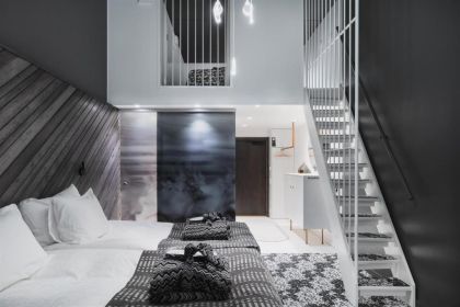 Делюкс Лофт (24m²)