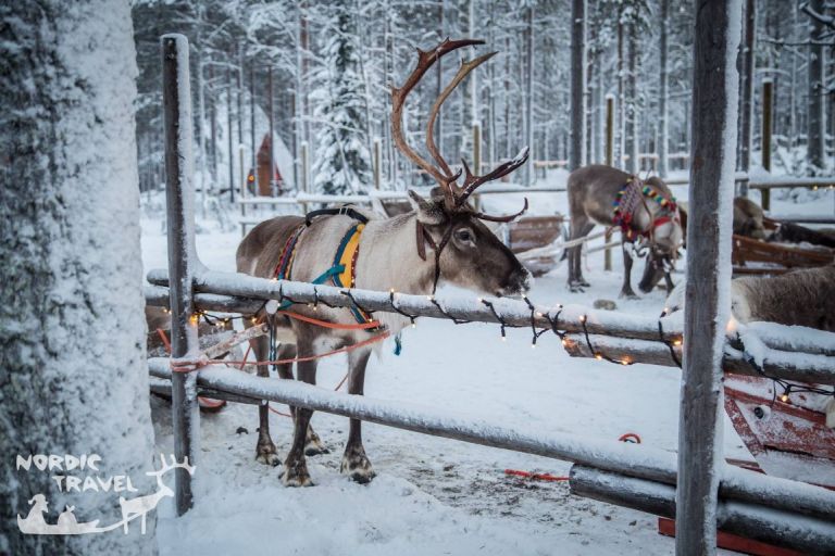 Путівник містом Рованіємі