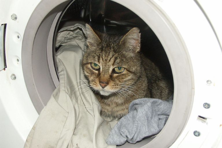 10 заповідей котеджа. Відпочивайте з насолодою.