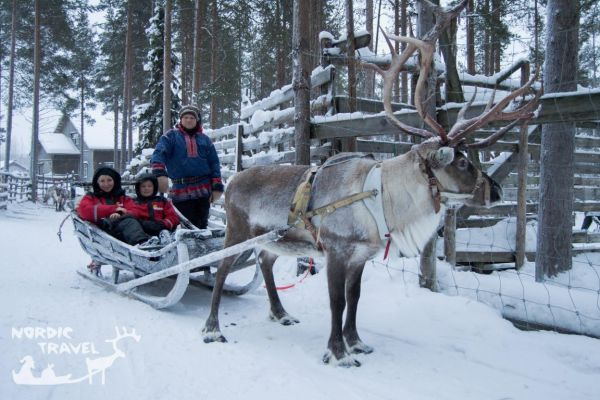 Сафарі на сніхогодах