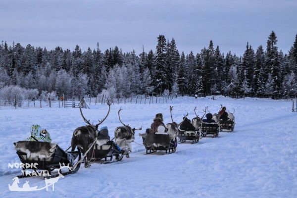 Поїздка на оленячу ферму, катання на оленячій упряжці