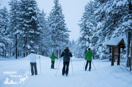 Урок катання на бігових лижах
