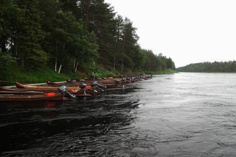 Лососева риболовля на півночі Фінляндії