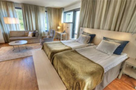 Номер сьют с сауной (46.5 м²)