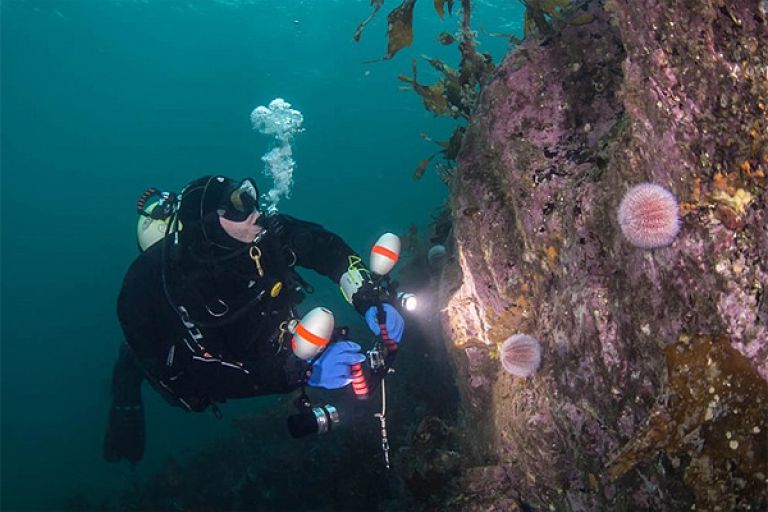 Бюджетная морская рыбалка на острове Сутра