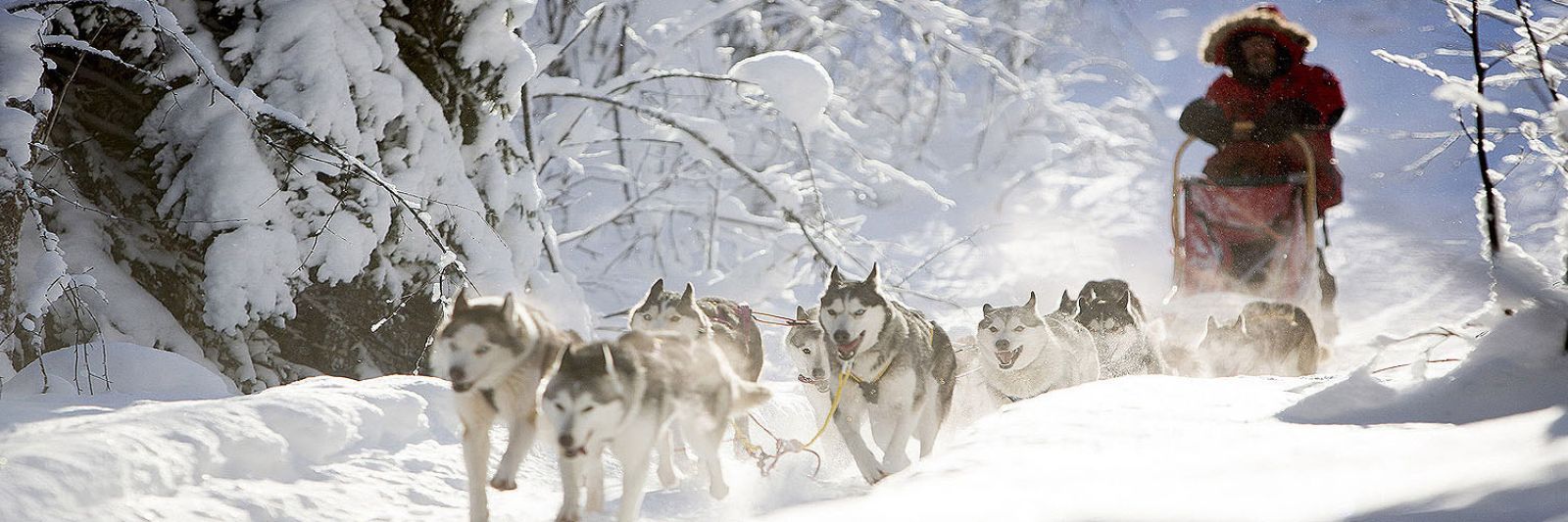 Tours to Finland