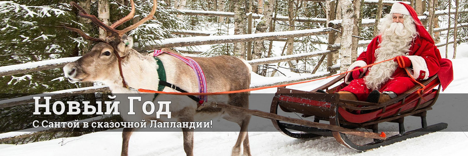 Туры на Новый Год 2025/2026