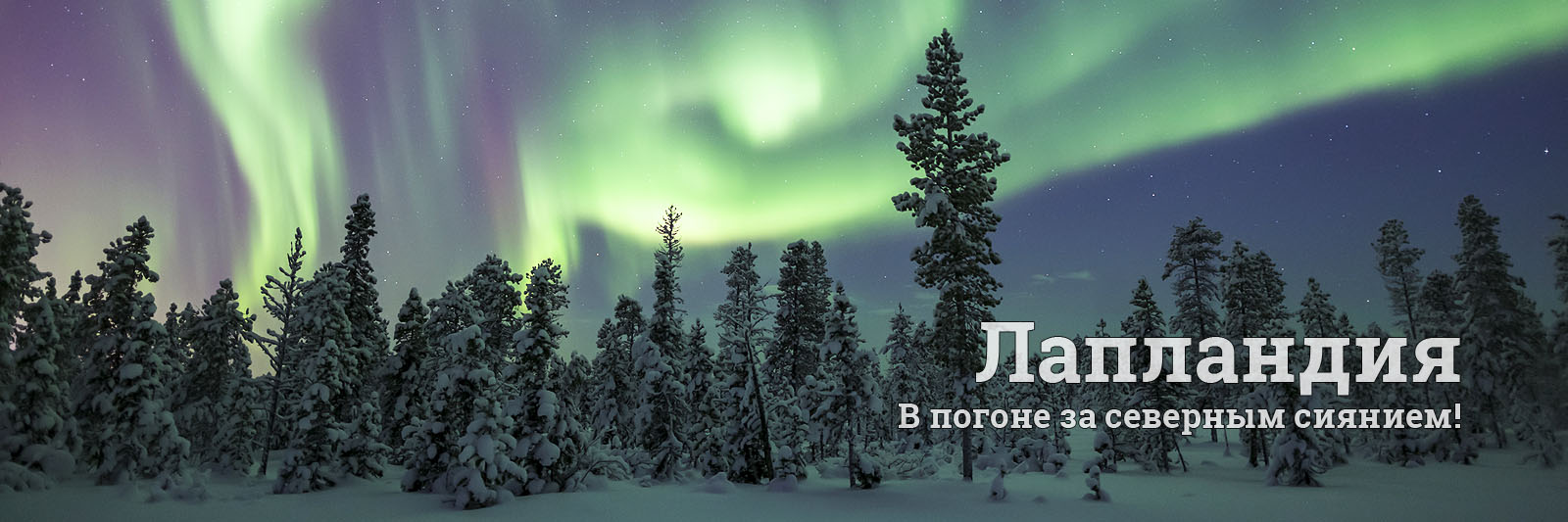 Туры в Лапландию на Новый Год и Рождество