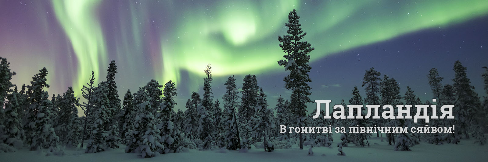 Тури в Леві