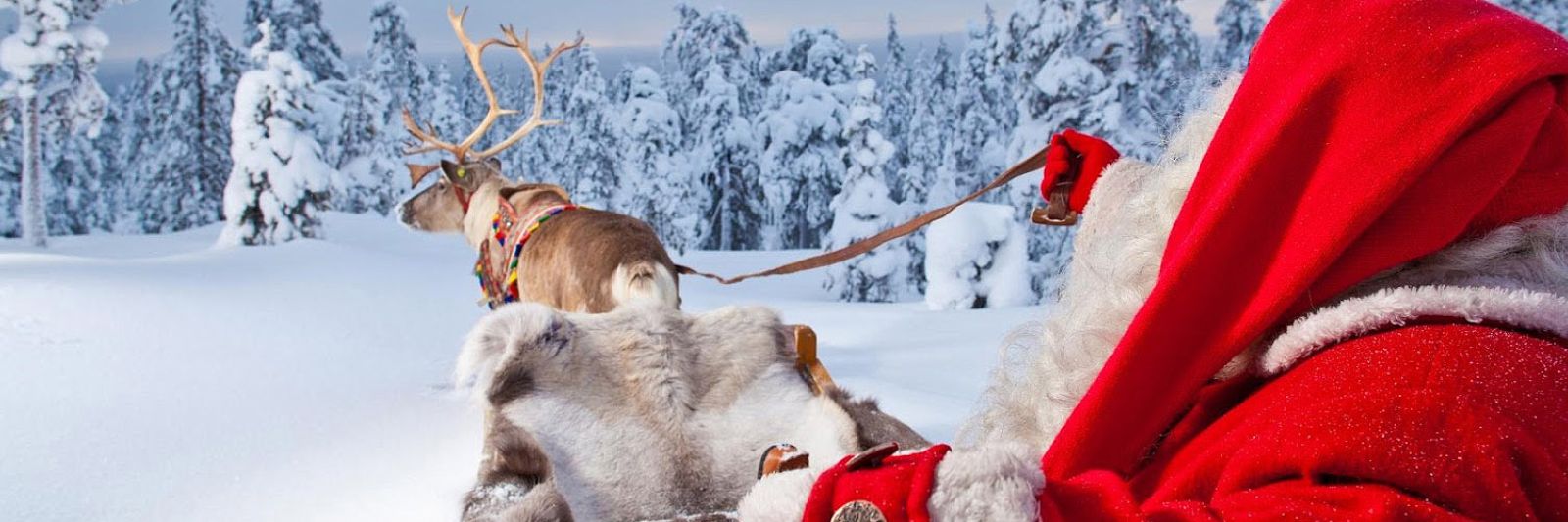 Tours to Lapland for New Year and Christmas