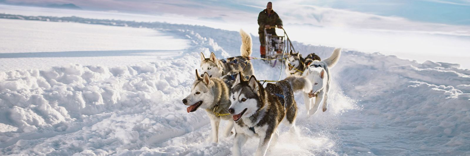 Tours to Lapland for New Year and Christmas