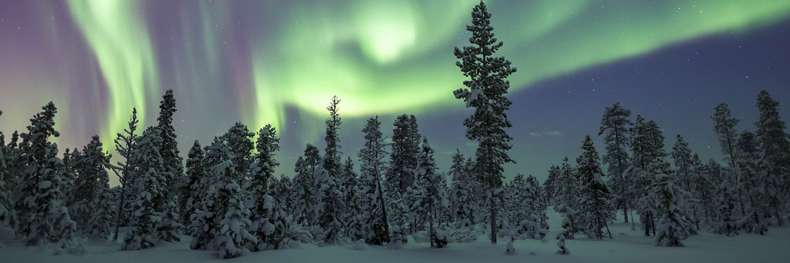 Tours to Lapland for New Year and Christmas