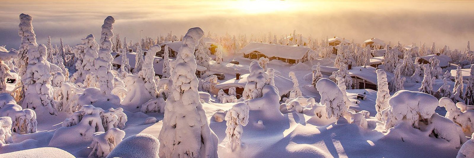 Tours to Lapland for New Year and Christmas
