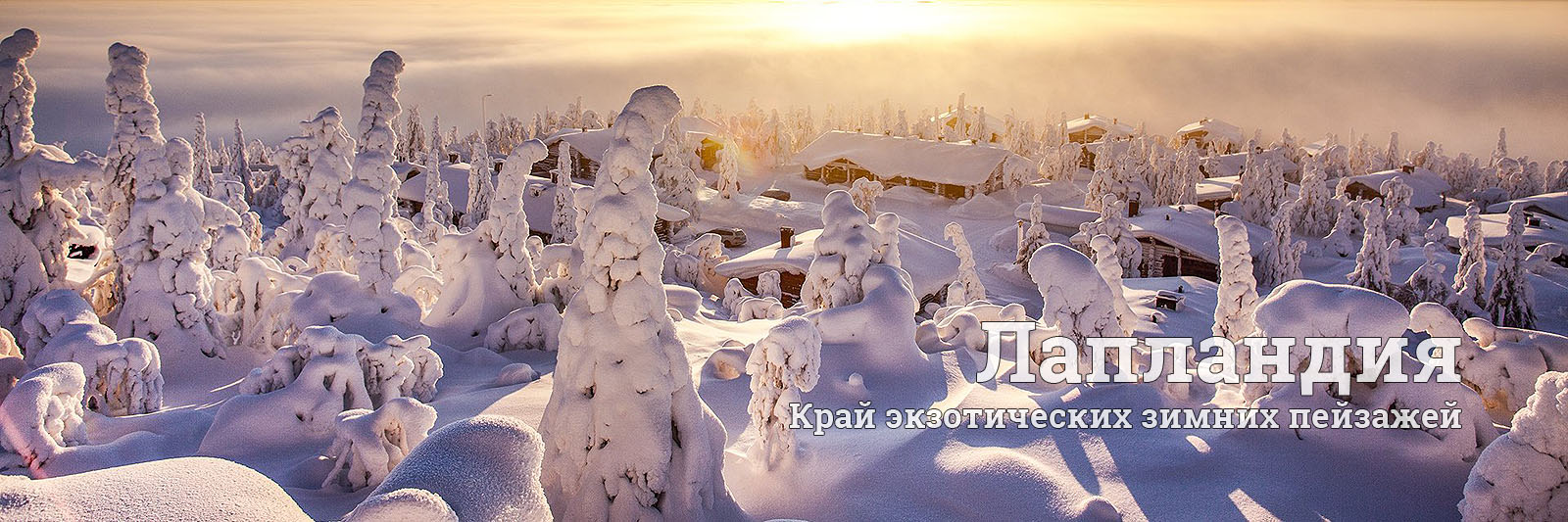 Туры в Лапландию на Новый Год и Рождество