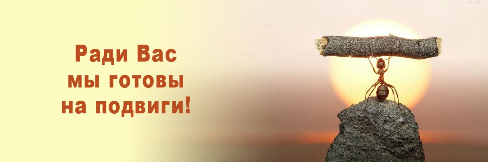 Экзотические туры