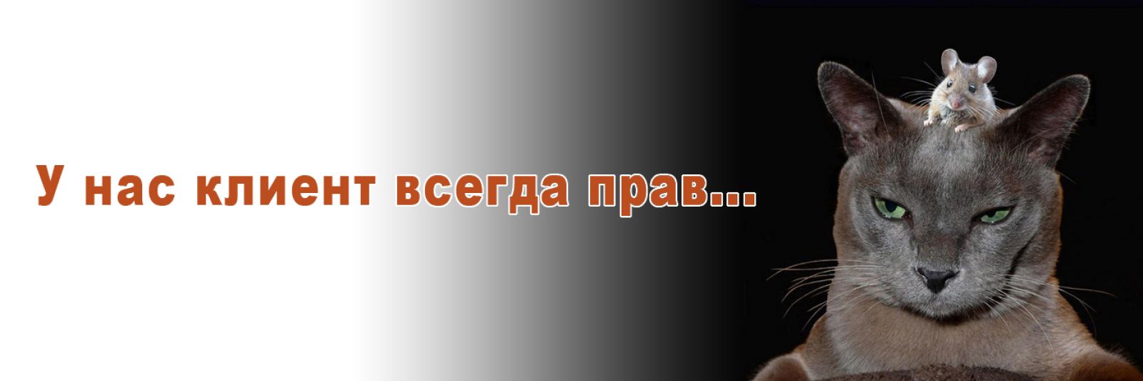 Индивидуальные туры