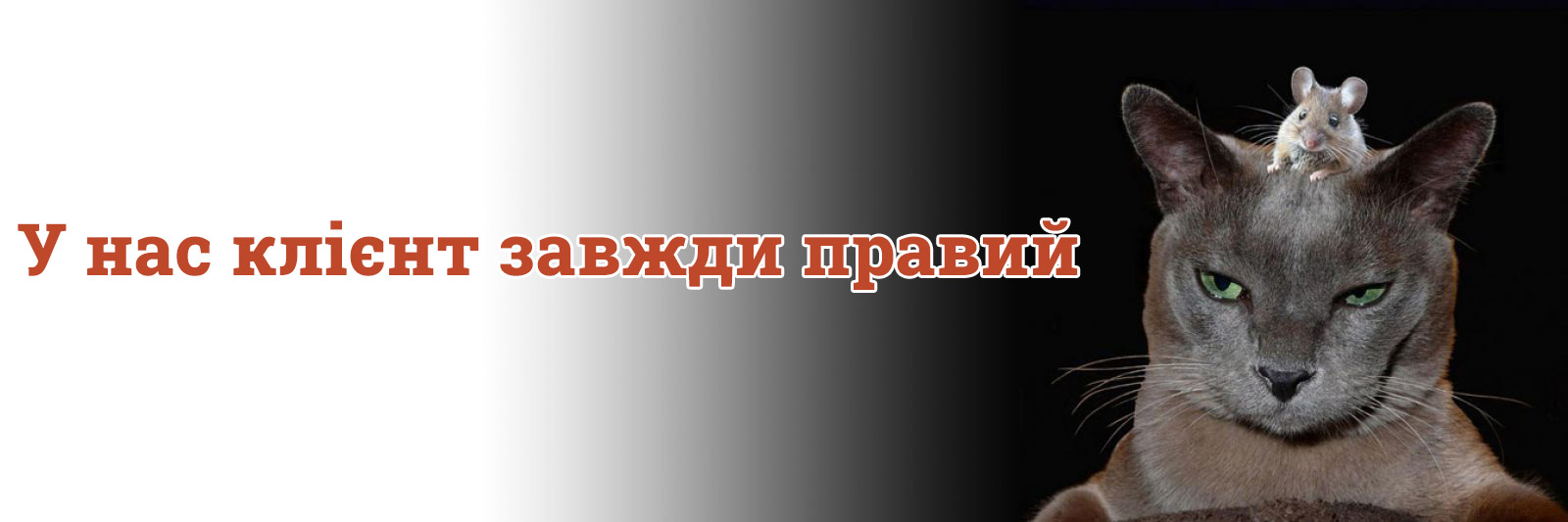 Індивідуальні тури
