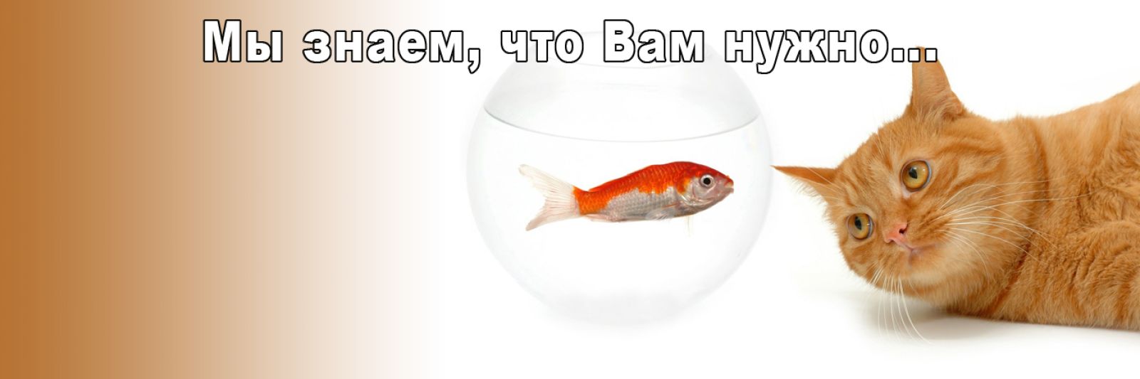 Экзотические туры
