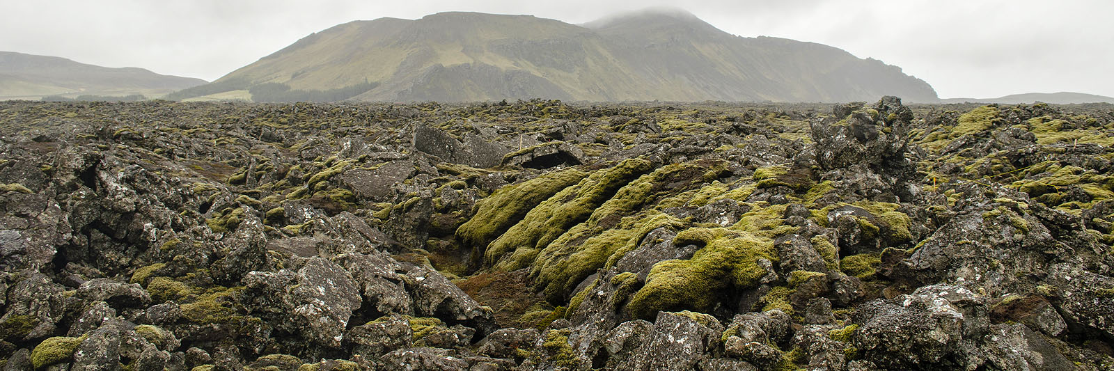 Tours to Iceland