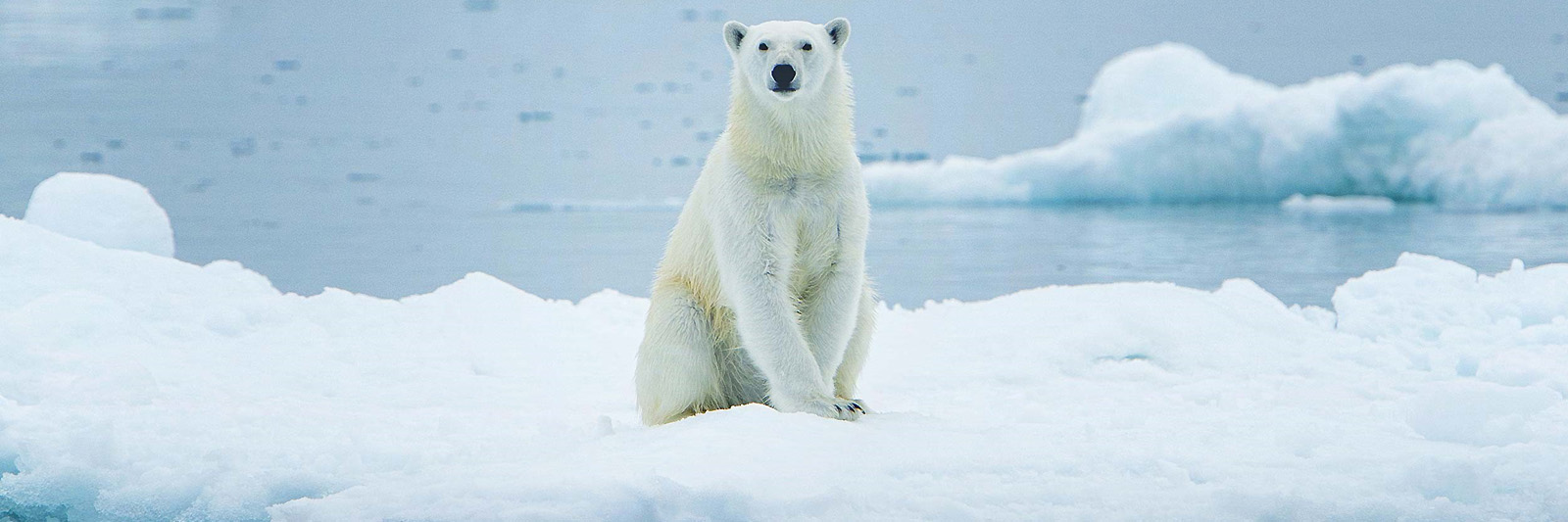 Tours to Svalbard
