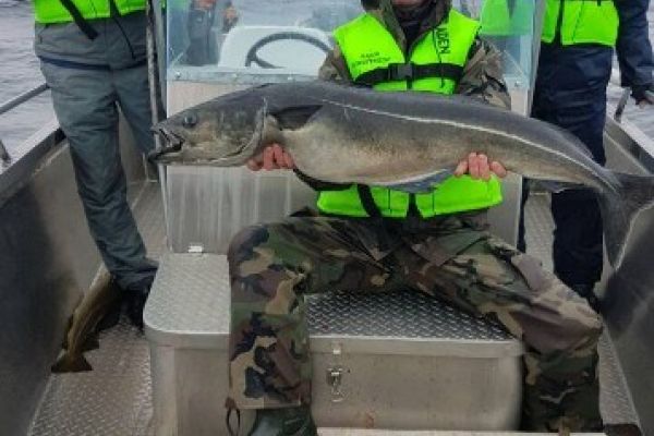 Фото і відео з риболовних турів в Норвегію