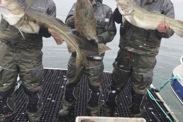 Фото і відео з риболовних турів в Норвегію
