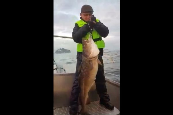 Видео наших клиентов с рыбалки на базе Mefjord Brygge в Норвегии 2